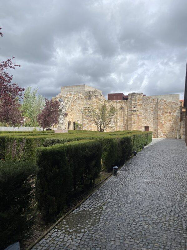 Zamora extrapontem. La ciudad que Wyngaerde dibujó y nadie recorre - Imagen 4